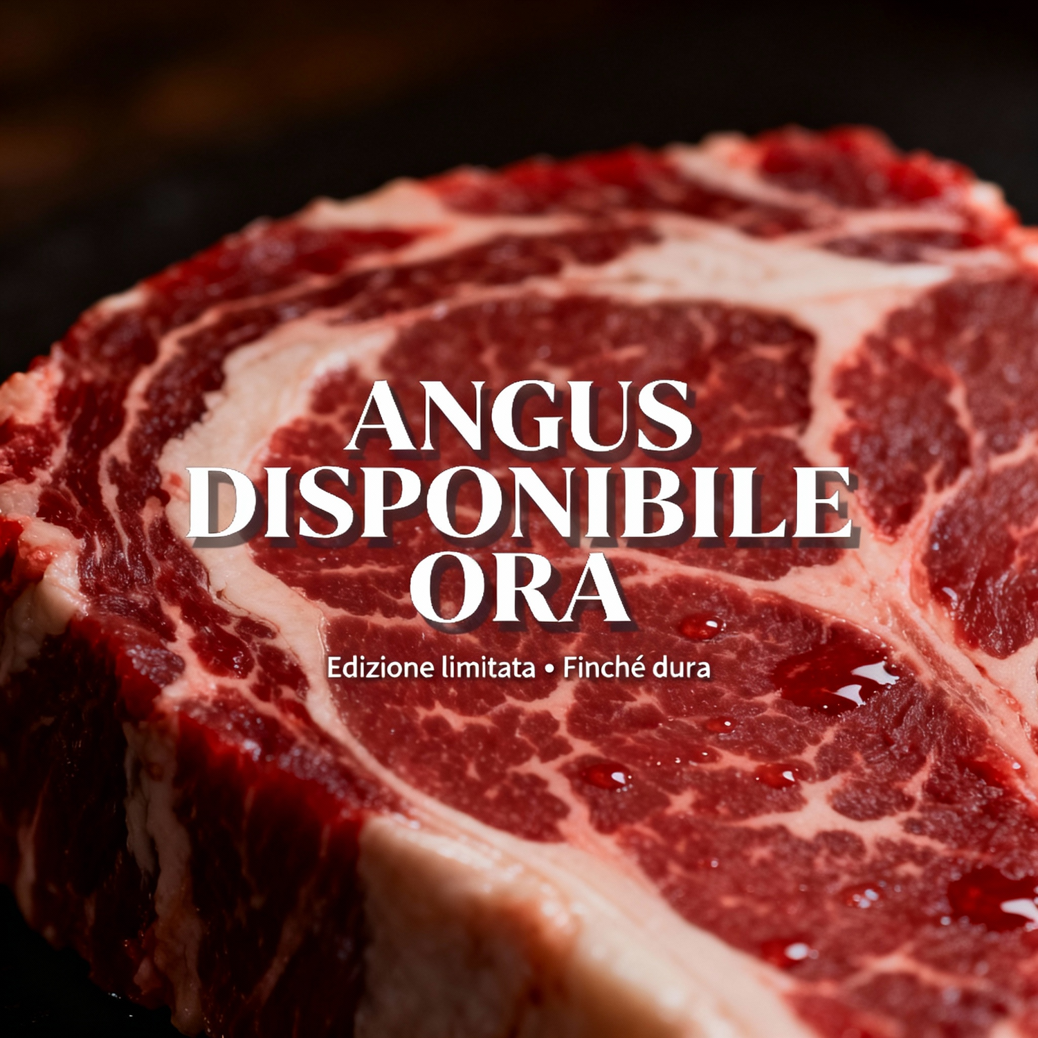 ANGUS – Disponibile ora